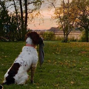 Meet your Posher, Jean-frédéric